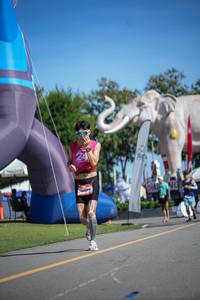 BIB: 
                            <button type="button" onclick="openModal(26544182)" class="btn btn-primary btn-sm float-right btn-popup" data-toggle="modal" data-target=".modal-high-quality">
                        <i class="fas fa-shopping-cart"></i> Add to Cart
                    </button>
                                            <button type="button" onclick="isThisMe(26544182, true)" class="btn btn-success btn-sm float-right btn-popup btn-isme hidden" data-toggle="tooltip" data-placement="bottom" title="นี่คือรูปของคุณใช่ไหม คลิกที่นี่เพื่อเอาเข้าอัลบั้ม">
                        <i class="fas fa-plus"></i> Add to album
                    </button>
                    <button type="button" onclick="isThisMe(26544182, false)" class="btn btn-warning btn-sm float-right btn-popup btn-isnotme hidden">
                        <i class="fas fa-ban"></i> Remove from album
                    </button>